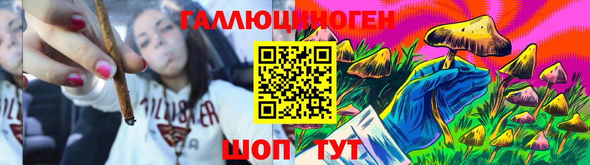 Тейково  Галлюциногенные грибы Psilocybine cubensis  Вход с VPN 